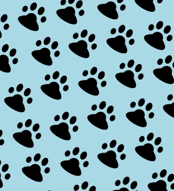 Pattes noires sur fond bleu